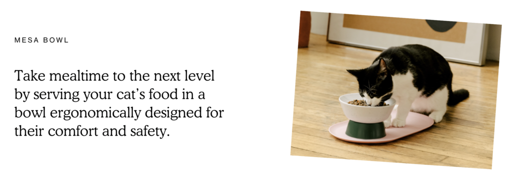 Cat Person's food bowl, the Mesa Bowl, with a short description of its features and a photo of a cat eating from it.