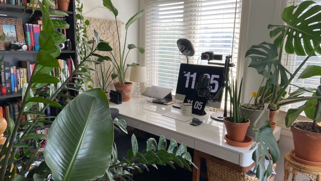 Remote work office setup in front of window with video camera over monitor and surrounded by many green plants