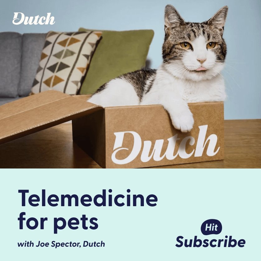 How Dutch reimagined vet visits for pet owners