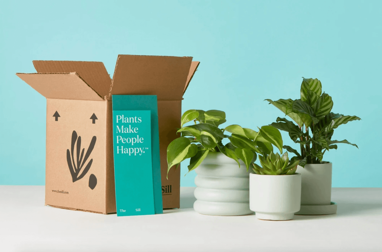Plants with a brochure and a shipping box