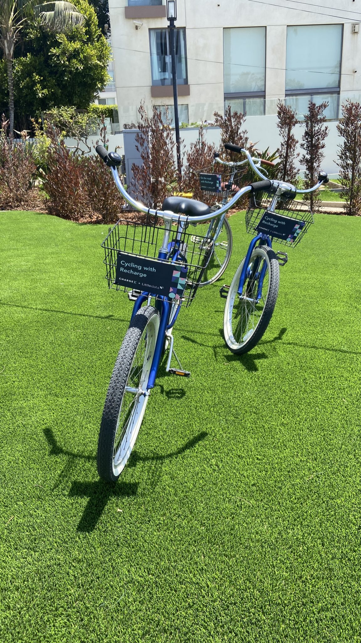 Two blue bikes with ChargeX branding on their front baskets standing with their kickstands on some grass ready for attendees to ride.