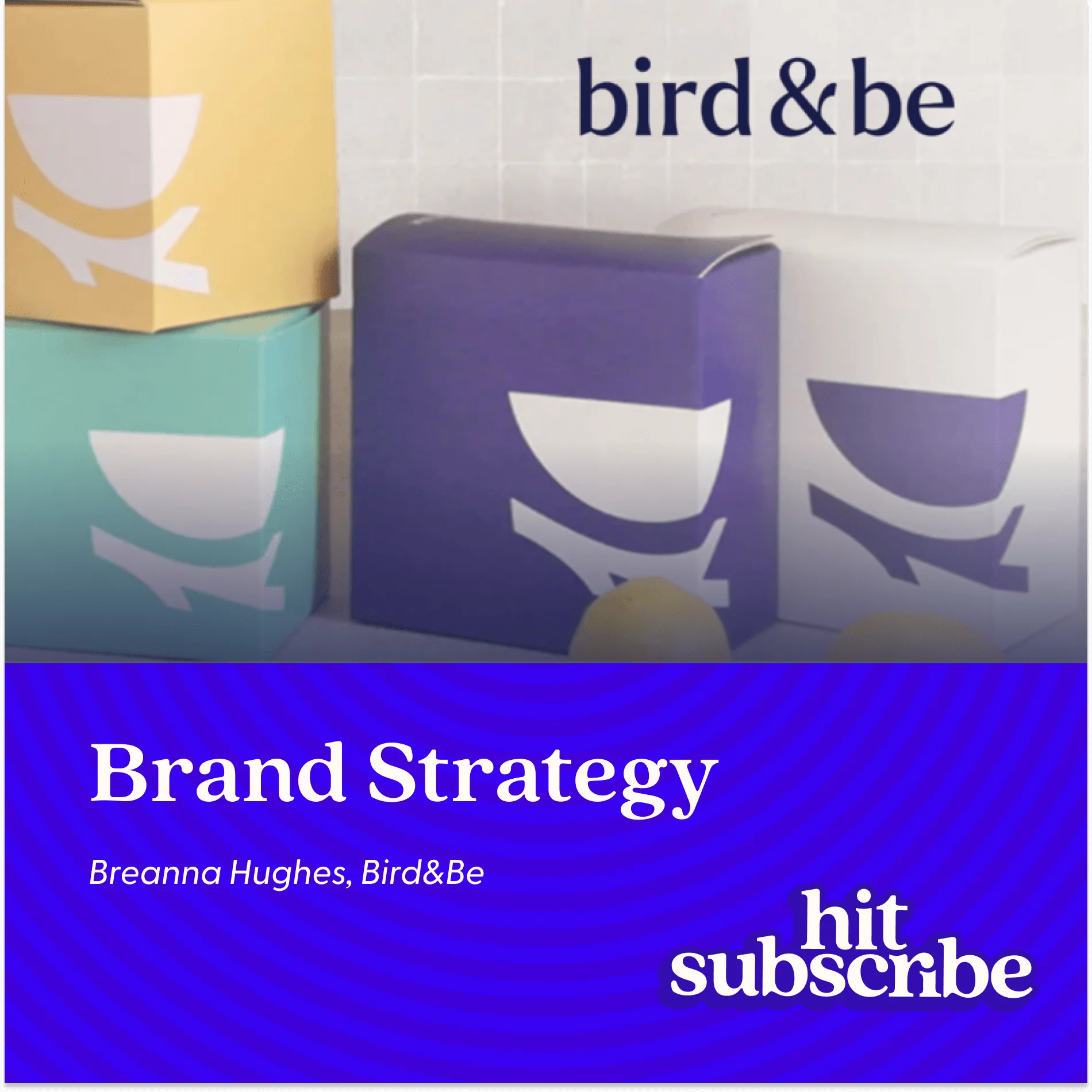 Hit Subscribe podcast episode cover featuring Breanna Hughes, Co-founder, Bird&Be