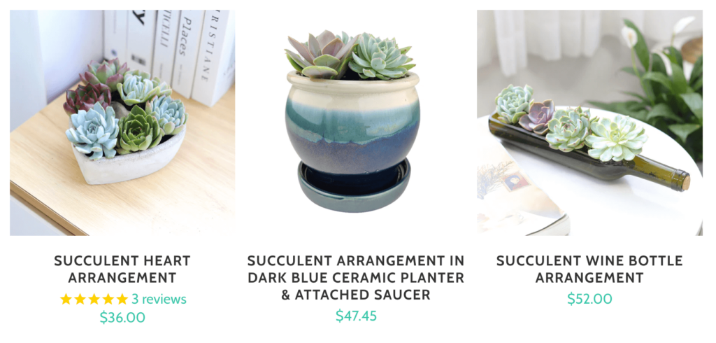 Succulents Box offers a variety of succulent options for the house